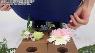Studentessa Che Indossa un Costume Da Bagno e Calpestare i Petali Con Il Su