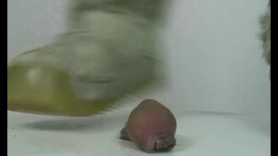 HHH - Cockcrush 118 without Cum