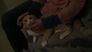 Fem Boy Rubs his Bussy