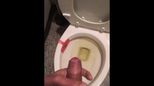 Horny had to Stop on the Road to Cum