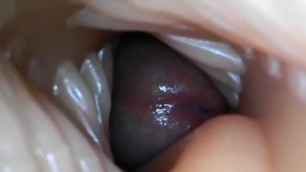Lisa Ann Savage Fleshlight Internal Cumshot