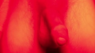 RED LIGHT DICK