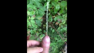 Cock Pissing outside
