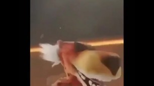 Chester the Cheetah Rap