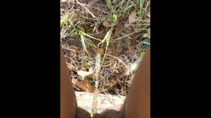 Piss Call Pt 2
