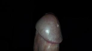 Hard Cock Throbbing with Pre-cum Leaking.