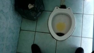 Piss in the Womans Rest-room