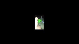 Good Cumshots and Pussy Licking