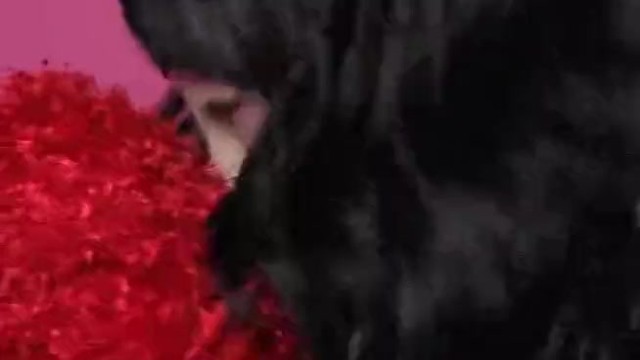 Elmo Fucks Katy Perry look Alike