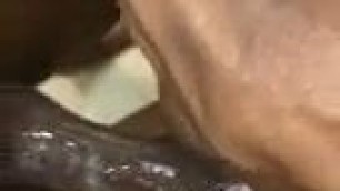 Fuck With Very Hot Sri Lankan Girlfriend - Juicy Pussy