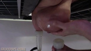Hucows Manuela On The Milking Bed Granny Facial