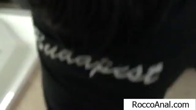 Adriana Chechik having rough sex with Rocco Siffredi