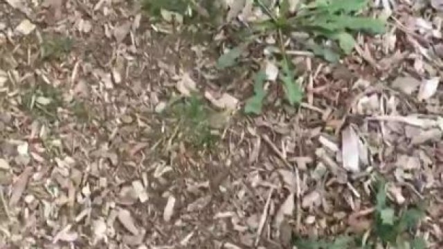 public masterbating